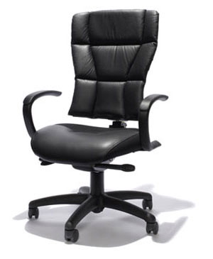 Big and Tall Furniture, Big and Tall Office Products, Professional Office Products, Professional healthcare Furniture